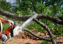 Mulching Services in Rosedale, CA